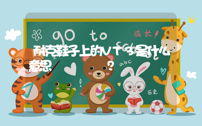 耐克鞋子上的VT3是什么意思？插圖
